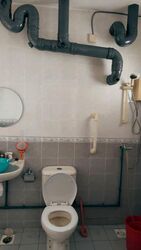 Blk 320A Anchorvale Grove (Sengkang), HDB 4 Rooms #556033461